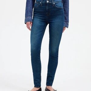 Madewell 10' High Rise Skinny Jean